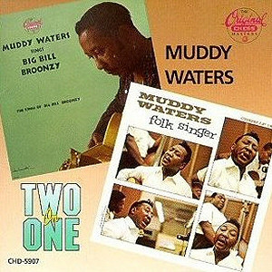Muddy Waters Sings Big Bill Broonzy / Folk Singer
